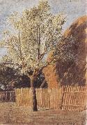 John linnell Study of a Tree Spain oil painting artist